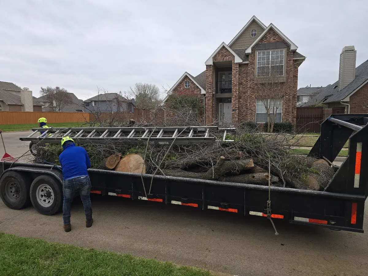 Expert Lot Clearing with proper safety equipment in Newtown
